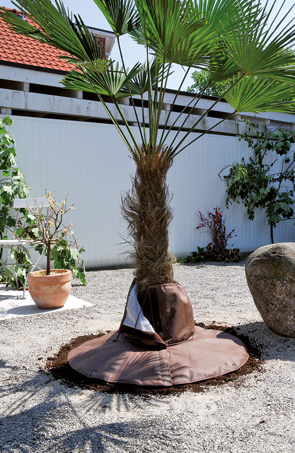 Wurzelschutz für Palmen H 30 cm Stamm Ø bis 100 cm
