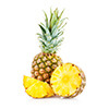 Exotische Früchte im Gewächshaus ananas ananas