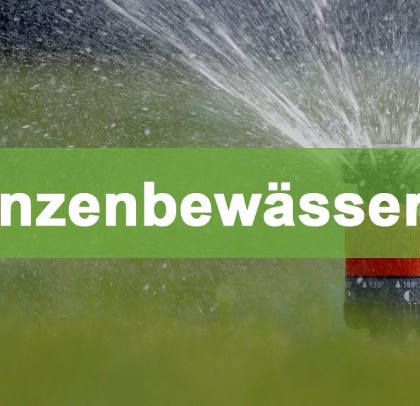 Pflanzenbewässerung im Gewächshaus bewaesserung thumb 1024x576 1 Pflanzenbewässerung im Gewächshaus