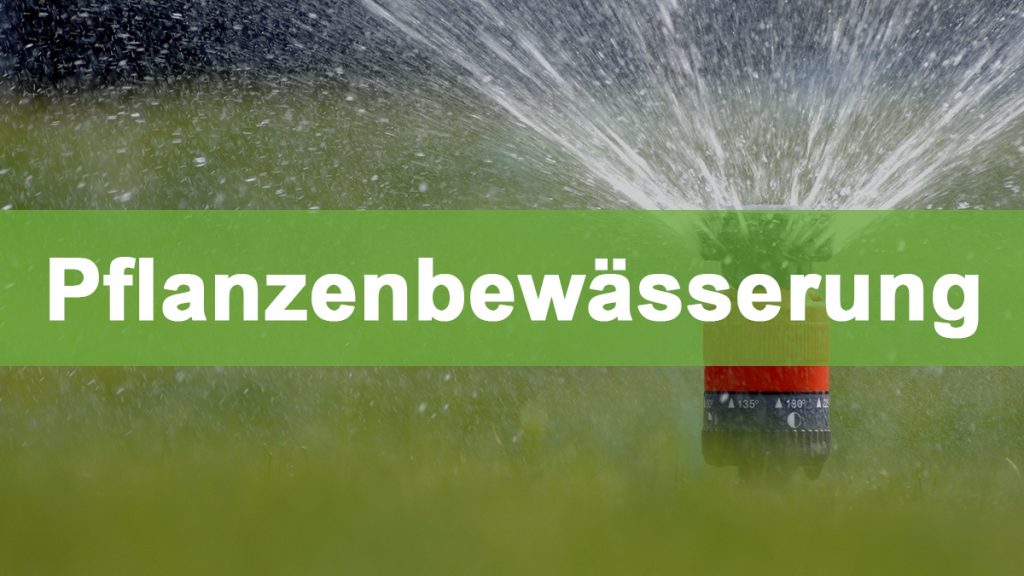 Pflanzenbewässerung im Gewächshaus