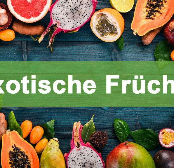 Exotische Früchte im Gewächshaus exotische fruechte thumb 1024x576 1 Exotische Früchte im Gewächshaus