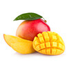 Exotische Früchte im Gewächshaus mango mango