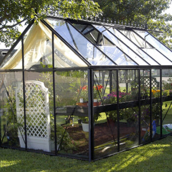 Viktorianisches Gewächshaus (Junior pulverbeschichtet JP25) – Bild 2