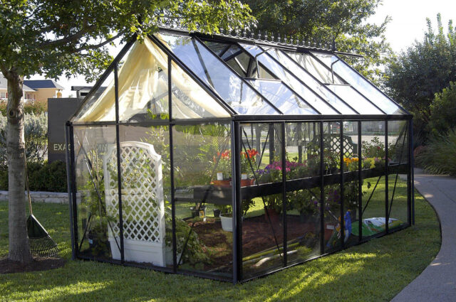 Viktorianisches Gewächshaus (Junior pulverbeschichtet JP25)