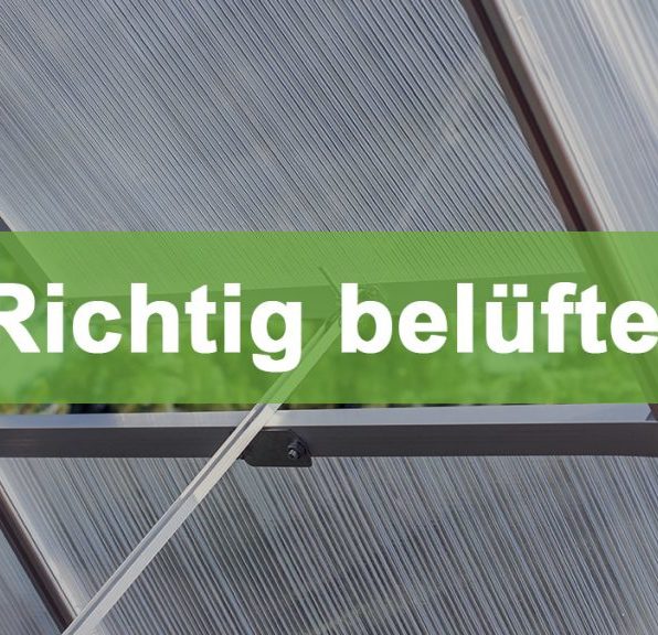 Gewächshaus richtig belüften: So gelingt es perfekt richtig lueften thumb 1024x576 1 Gewächshaus richtig belüften: So gelingt es perfekt