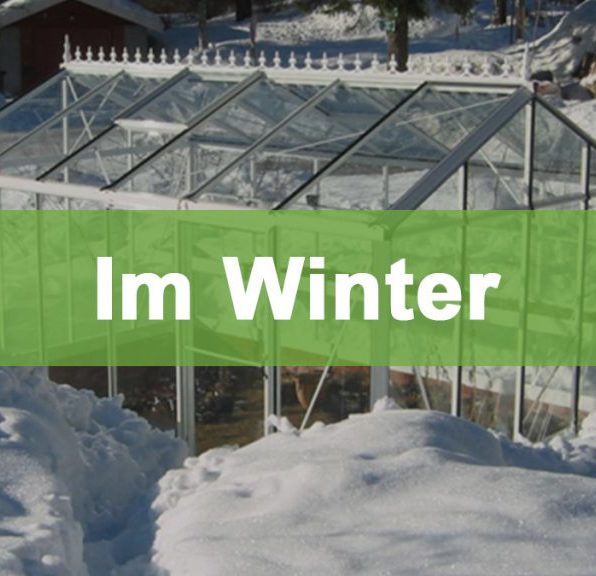 5 Möglichkeiten das Gewächshaus im Winter optimal zu nutzen winter thumb 1024x576 1 5 Möglichkeiten das Gewächshaus im Winter optimal zu nutzen