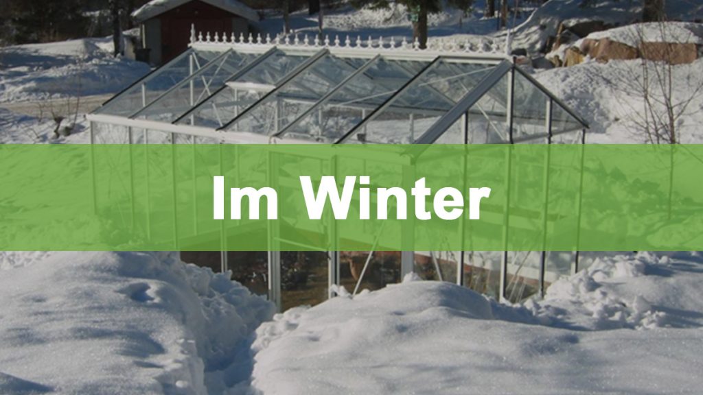 5 Möglichkeiten das Gewächshaus im Winter optimal zu nutzen