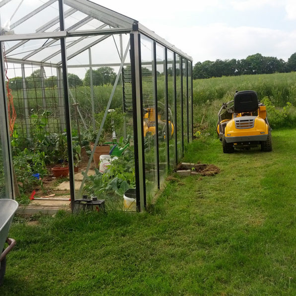 Tomaten Anbau bei Michels IMG 20140517 165056 Tomaten Anbau bei Michels
