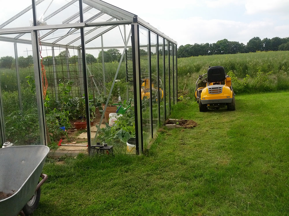 Tomaten Anbau bei Michels IMG 20140517 165056 IMG 20140517 165056